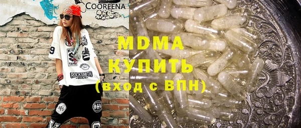 индика Бердск