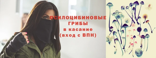 PSILOCYBIN Магадан