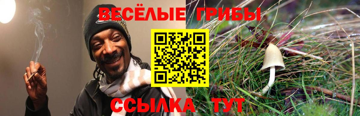 Галлюциногенные грибы Magic Shrooms  Вход с VPN  Лесозаводск 