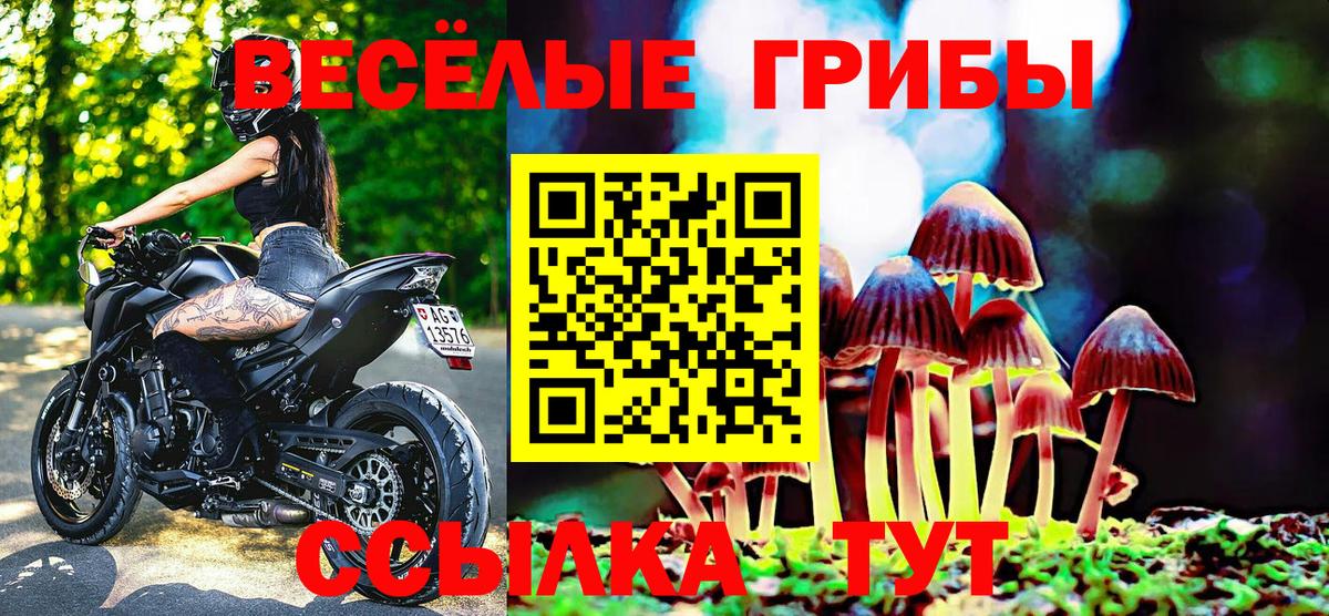 Галлюциногенные грибы Cubensis Лесозаводск