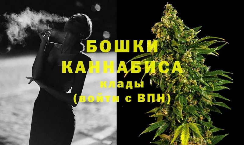 Бошки марихуана THC 21%  Лесозаводск 